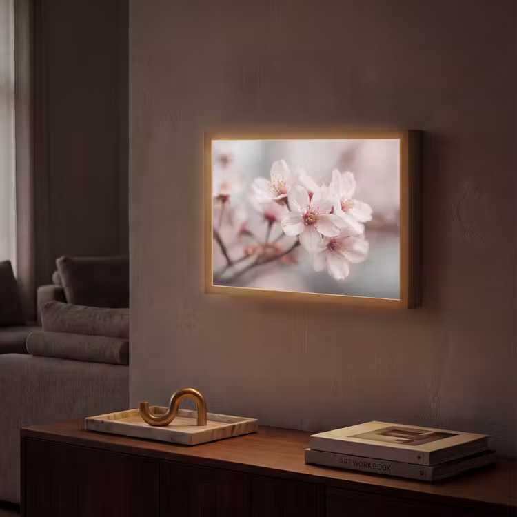 Lightbox - Wandlamp - Bloesems - Meeldraden - Geel - Wazig — 2