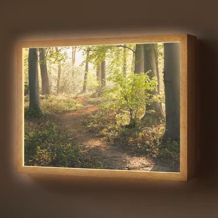 Lightbox - Wandlamp - Bos - Bomen - Pad - Zon - Planten - Bladeren - Natuur — 1