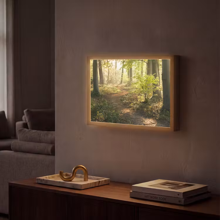 Lightbox - Wandlamp - Bos - Bomen - Pad - Zon - Planten - Bladeren - Natuur — 2