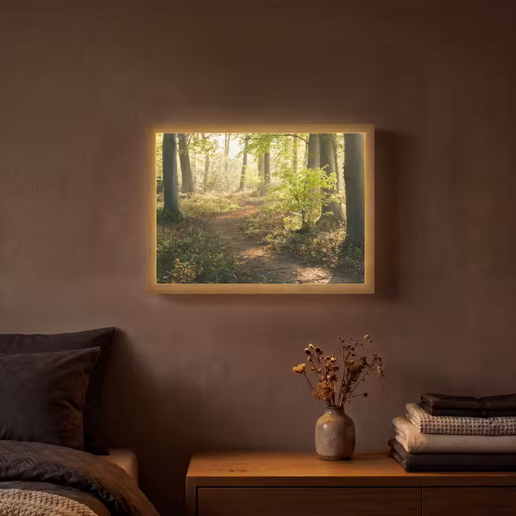 Lightbox - Wandlamp - Bos - Bomen - Pad - Zon - Planten - Bladeren - Natuur — 3