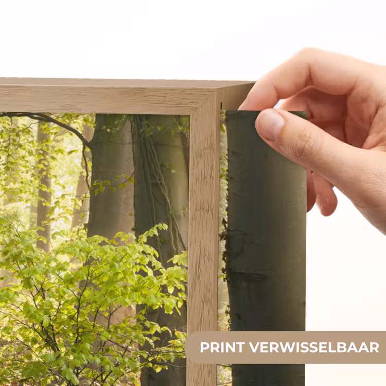 Lightbox - Wandlamp - Bos - Bomen - Pad - Zon - Planten - Bladeren - Natuur — 5