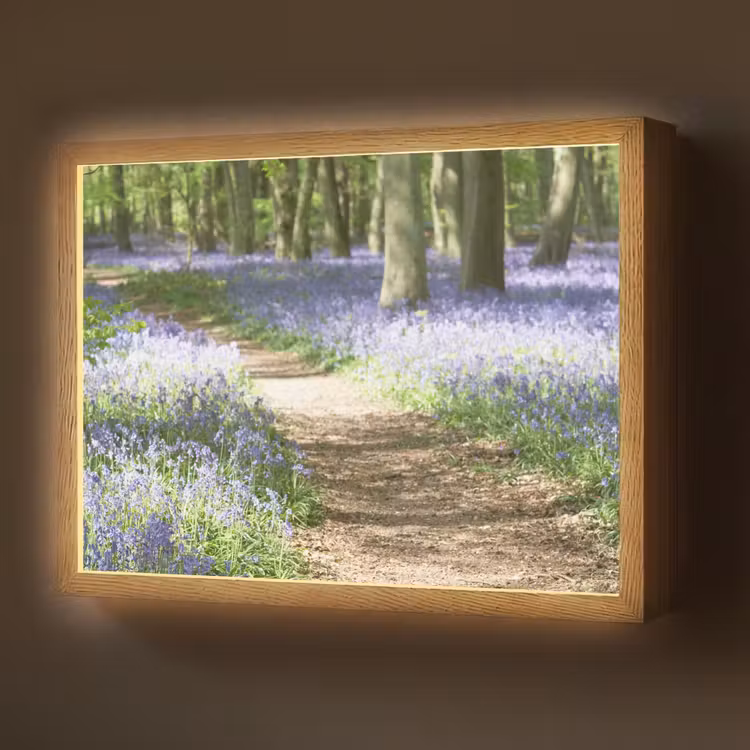 Lightbox - Wandlamp - Bos - Pad - Bloemen - Paars - Groen - Natuur — 1