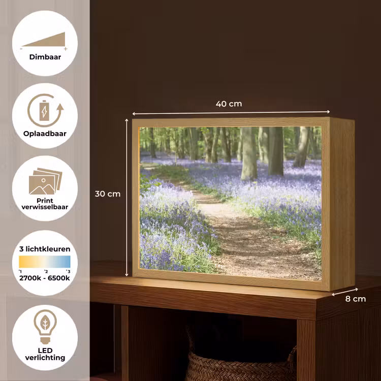 Lightbox - Wandlamp - Bos - Pad - Bloemen - Paars - Groen - Natuur — 10