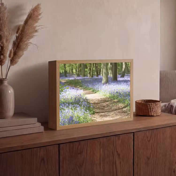 Lightbox - Wandlamp - Bos - Pad - Bloemen - Paars - Groen - Natuur — 4