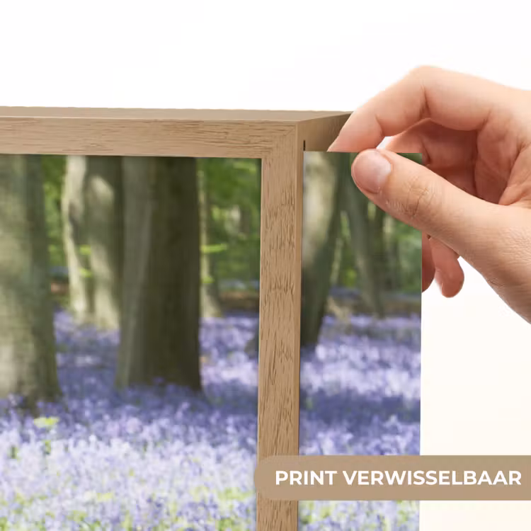 Lightbox - Wandlamp - Bos - Pad - Bloemen - Paars - Groen - Natuur — 5