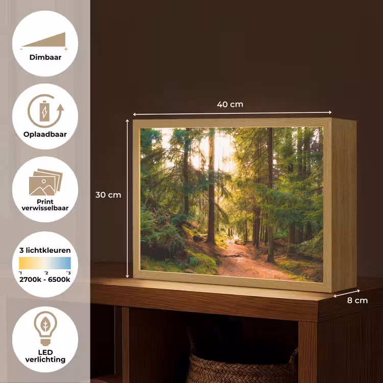 Lightbox - Wandlamp - Bos - Pad - Bomen - Groen - Zon - Natuur — 10