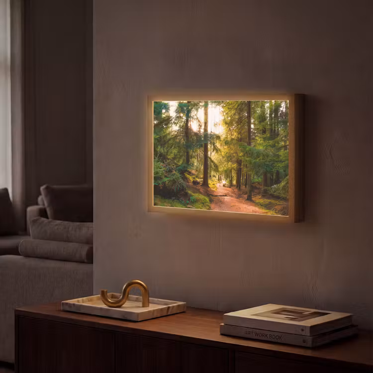 Lightbox - Wandlamp - Bos - Pad - Bomen - Groen - Zon - Natuur — 2
