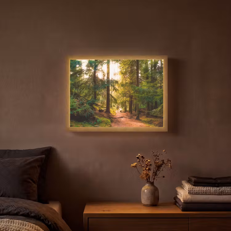 Lightbox - Wandlamp - Bos - Pad - Bomen - Groen - Zon - Natuur — 3