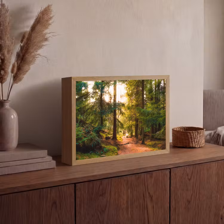 Lightbox - Wandlamp - Bos - Pad - Bomen - Groen - Zon - Natuur — 4