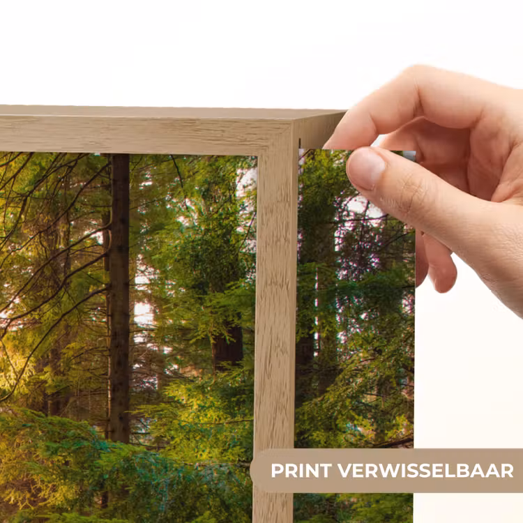 Lightbox - Wandlamp - Bos - Pad - Bomen - Groen - Zon - Natuur — 5