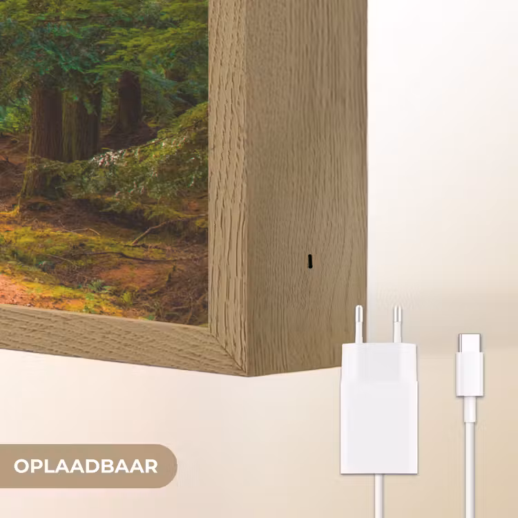 Lightbox - Wandlamp - Bos - Pad - Bomen - Groen - Zon - Natuur — 7