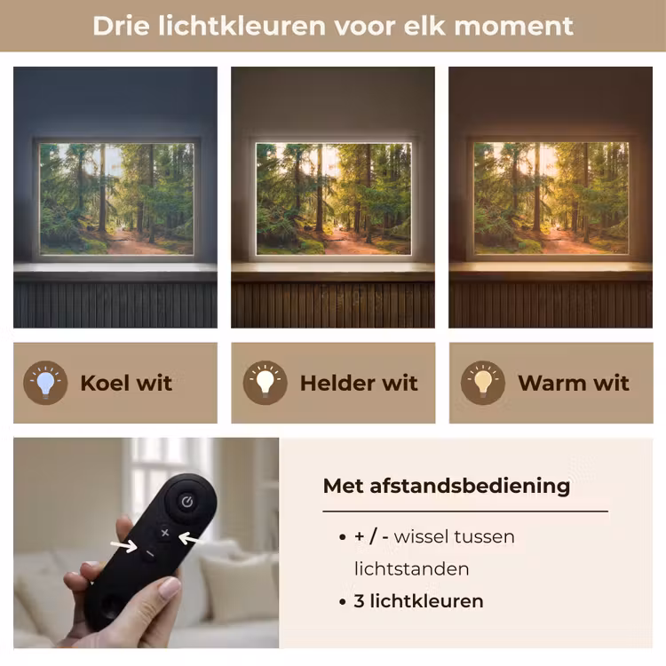 Lightbox - Wandlamp - Bos - Pad - Bomen - Groen - Zon - Natuur — 8