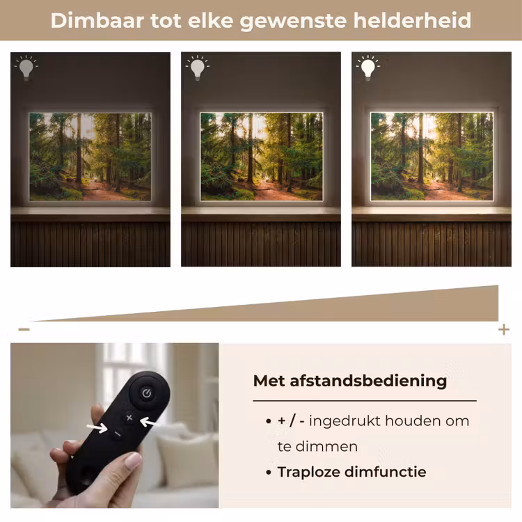 Lightbox - Wandlamp - Bos - Pad - Bomen - Groen - Zon - Natuur — 9