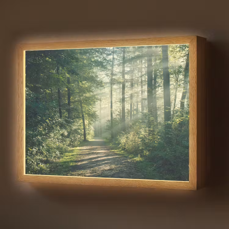 Lightbox - Wandlamp - Bos - Pad - Zon - Bomen - Groen - Natuur — 1