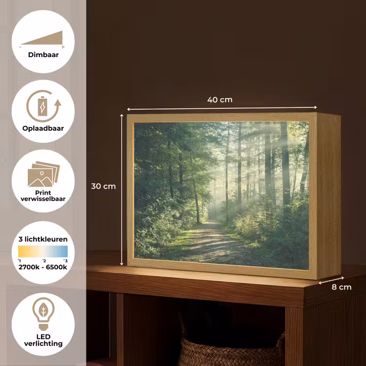 Lightbox - Wandlamp - Bos - Pad - Zon - Bomen - Groen - Natuur — 10