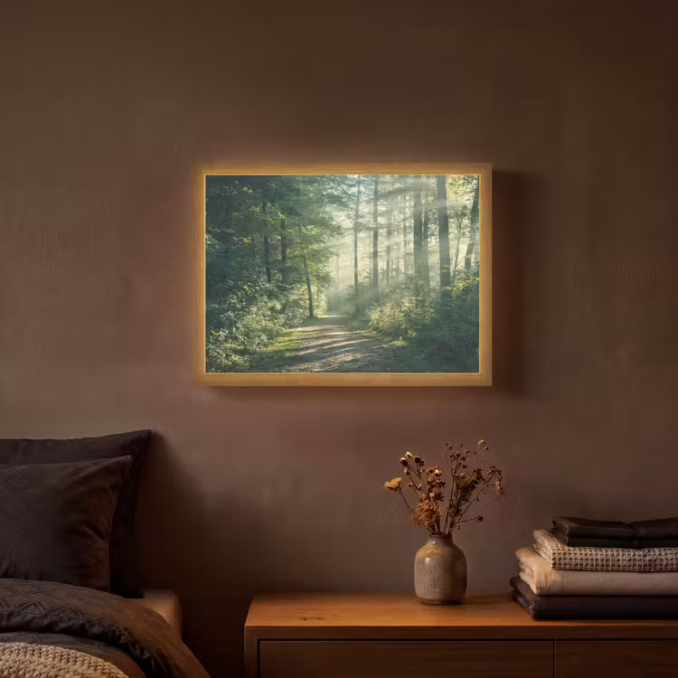 Lightbox - Wandlamp - Bos - Pad - Zon - Bomen - Groen - Natuur — 3