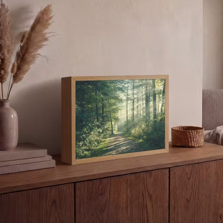 Lightbox - Wandlamp - Bos - Pad - Zon - Bomen - Groen - Natuur — 4