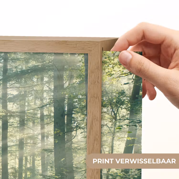 Lightbox - Wandlamp - Bos - Pad - Zon - Bomen - Groen - Natuur — 5