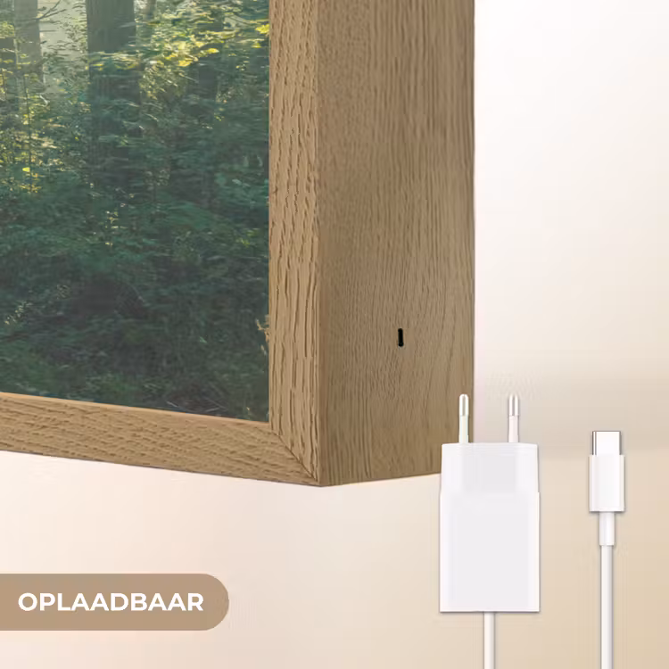 Lightbox - Wandlamp - Bos - Pad - Zon - Bomen - Groen - Natuur — 7