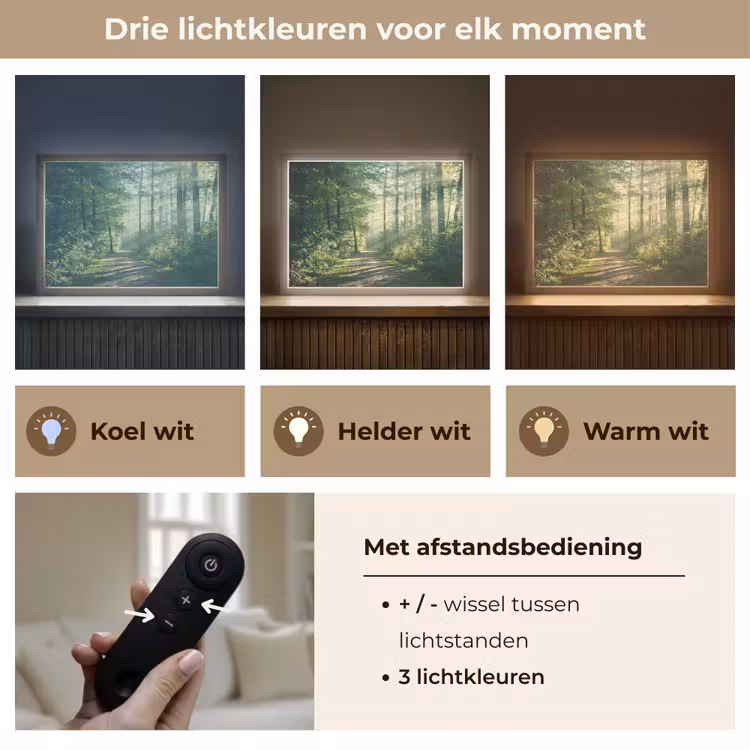 Lightbox - Wandlamp - Bos - Pad - Zon - Bomen - Groen - Natuur — 8