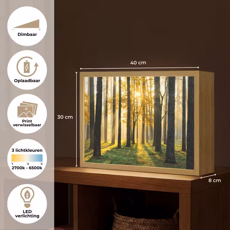 Lightbox - Wandlamp - Bos - Zon - Bomen - Gras - Landschap - Natuur — 10