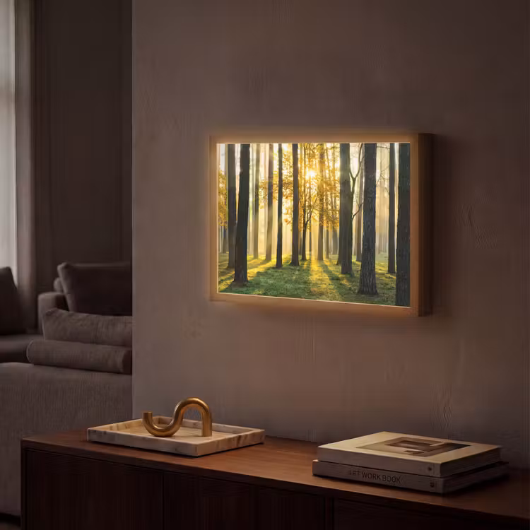 Lightbox - Wandlamp - Bos - Zon - Bomen - Gras - Landschap - Natuur — 2