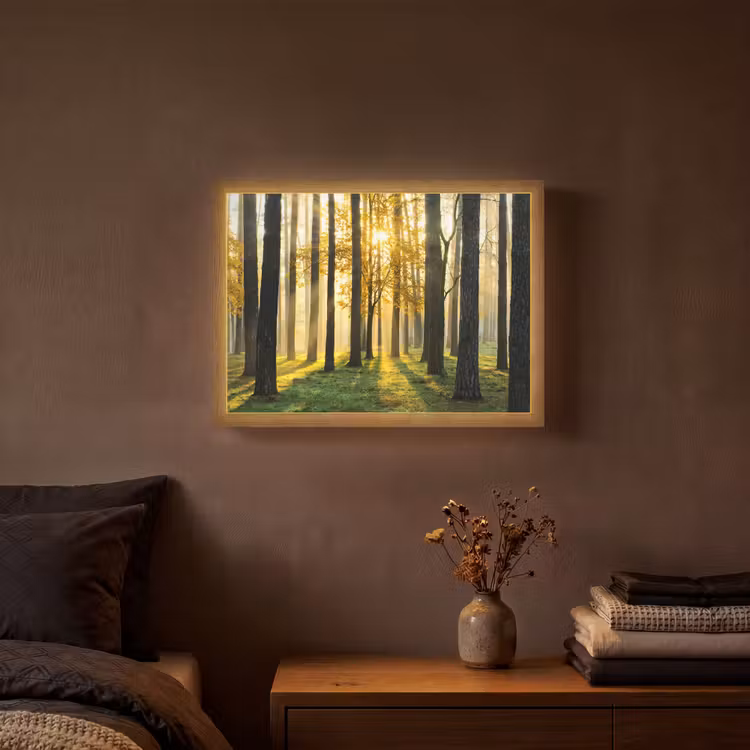 Lightbox - Wandlamp - Bos - Zon - Bomen - Gras - Landschap - Natuur — 3