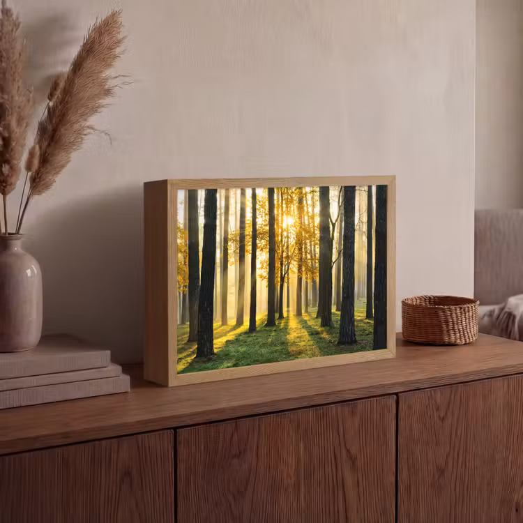Lightbox - Wandlamp - Bos - Zon - Bomen - Gras - Landschap - Natuur — 4