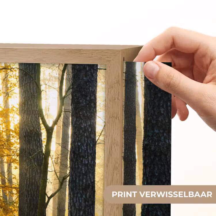 Lightbox - Wandlamp - Bos - Zon - Bomen - Gras - Landschap - Natuur — 5