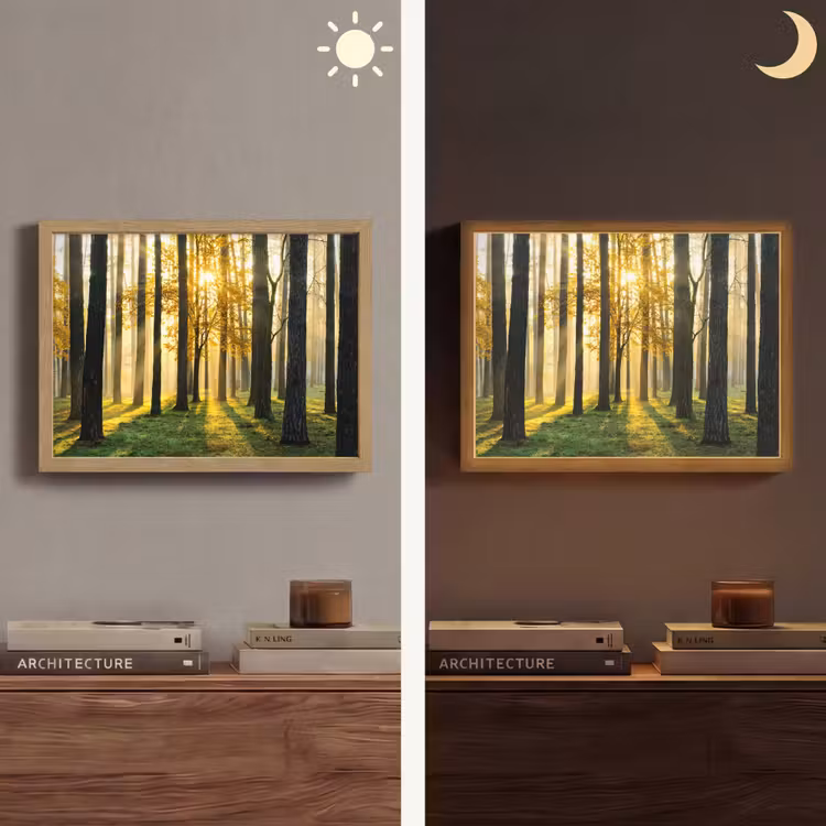Lightbox - Wandlamp - Bos - Zon - Bomen - Gras - Landschap - Natuur — 6