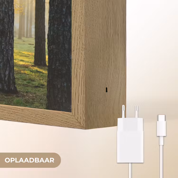 Lightbox - Wandlamp - Bos - Zon - Bomen - Gras - Landschap - Natuur — 7