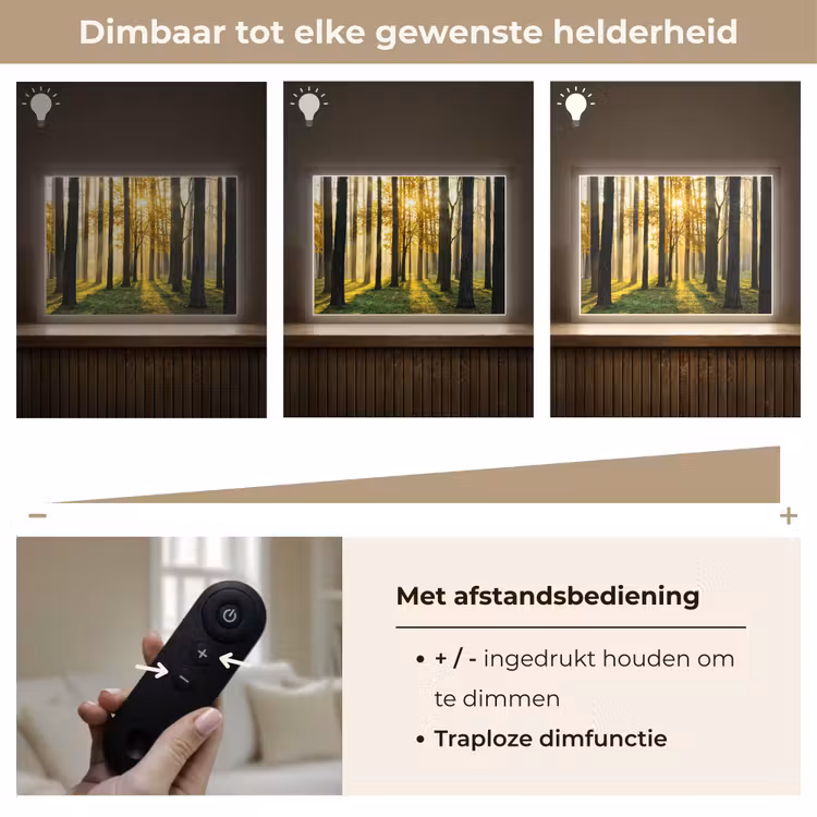 Lightbox - Wandlamp - Bos - Zon - Bomen - Gras - Landschap - Natuur — 9