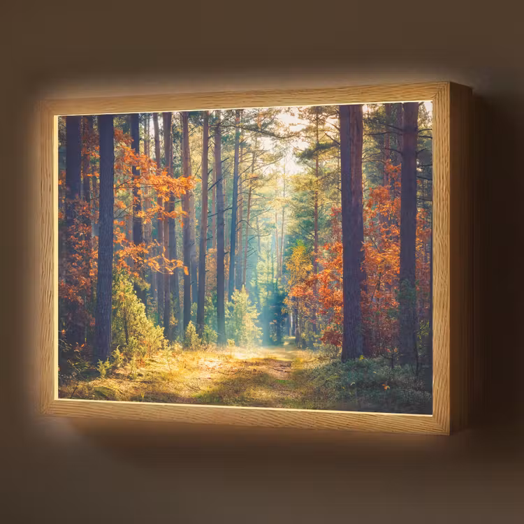 Lightbox - Wandlamp - Bos - Zon - Natuur - Herfst — 1