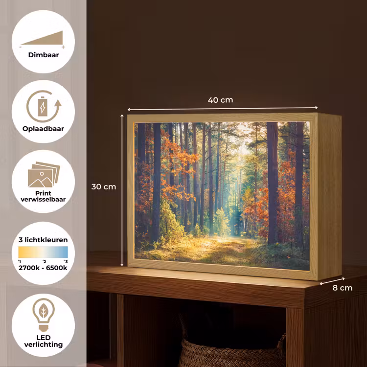Lightbox - Wandlamp - Bos - Zon - Natuur - Herfst — 10