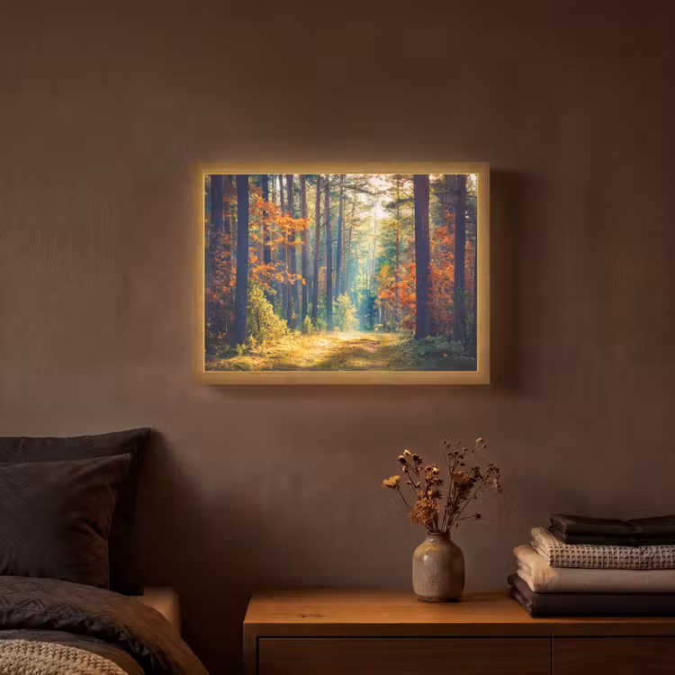 Lightbox - Wandlamp - Bos - Zon - Natuur - Herfst — 3