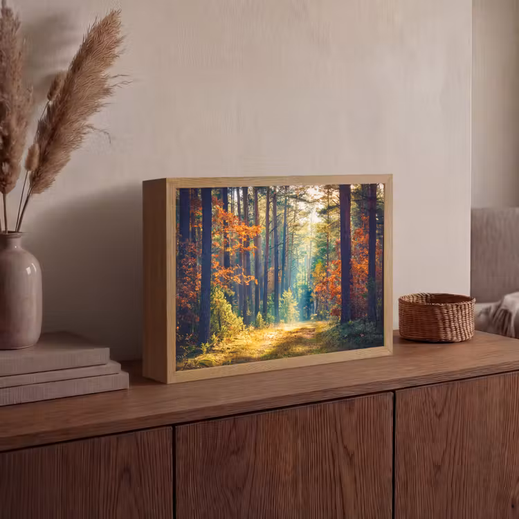 Lightbox - Wandlamp - Bos - Zon - Natuur - Herfst — 4