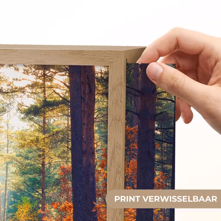 Lightbox - Wandlamp - Bos - Zon - Natuur - Herfst — 5