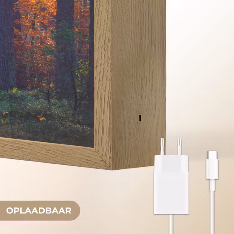 Lightbox - Wandlamp - Bos - Zon - Natuur - Herfst — 7