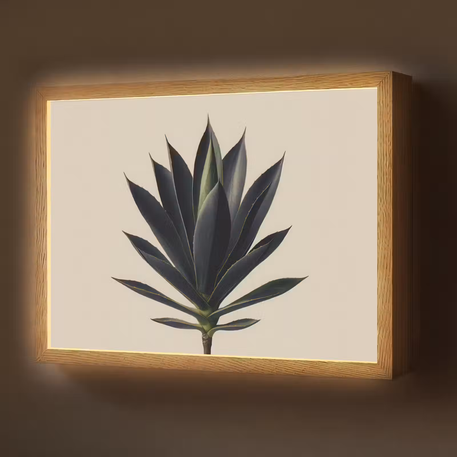 Lightbox - Wandlamp - Agaveplant - Symmetrisch - Groen — 1