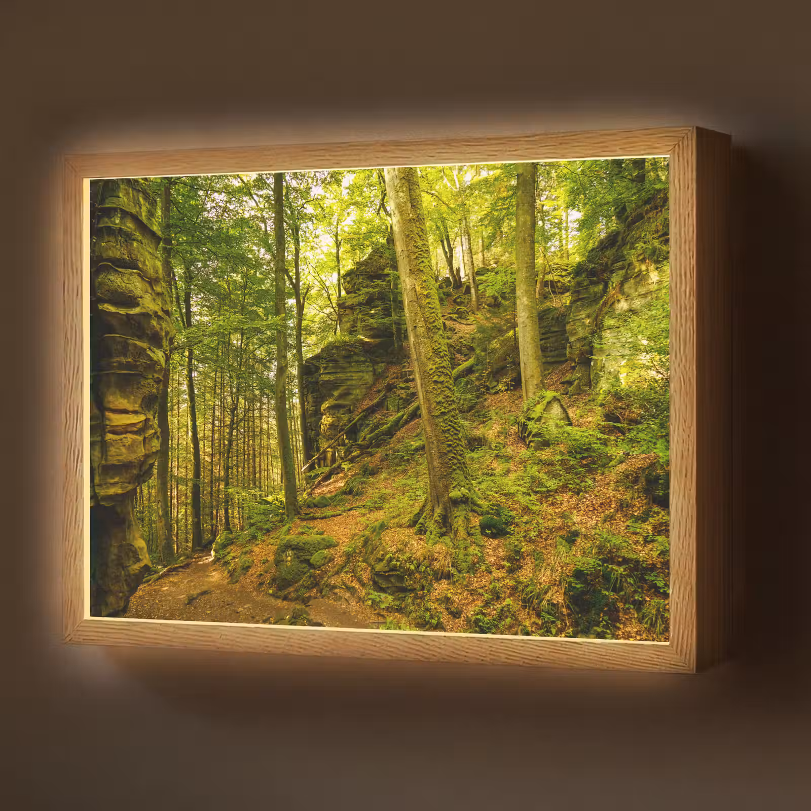 Lightbox - Wandlamp - Bomen - Steen - Bos - Natuur - Planten — 1