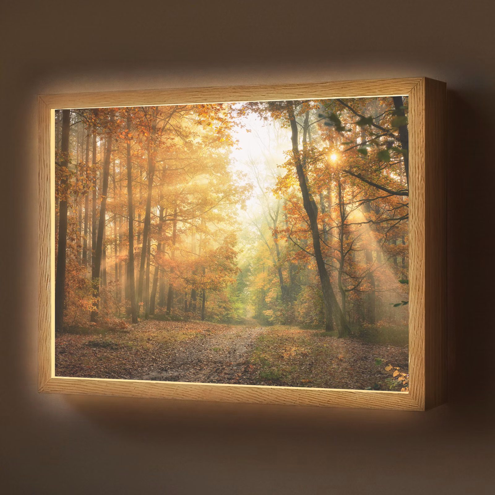Lightbox - Wandlamp - Bos - Herfst - Zon - Landschap - Natuur - Bomen - Bladeren — 1