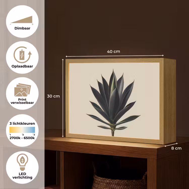 Lightbox - Wandlamp - Agaveplant - Symmetrisch - Groen — 10