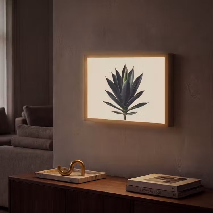 Lightbox - Wandlamp - Agaveplant - Symmetrisch - Groen — 2