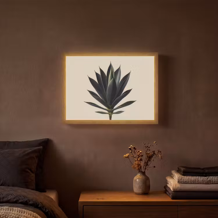 Lightbox - Wandlamp - Agaveplant - Symmetrisch - Groen — 3