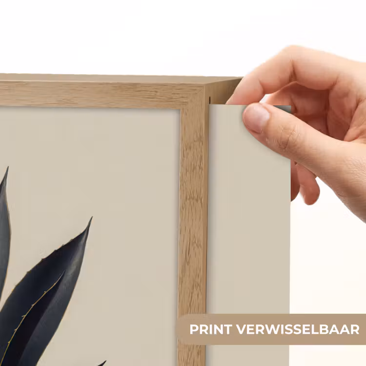 Lightbox - Wandlamp - Agaveplant - Symmetrisch - Groen — 5