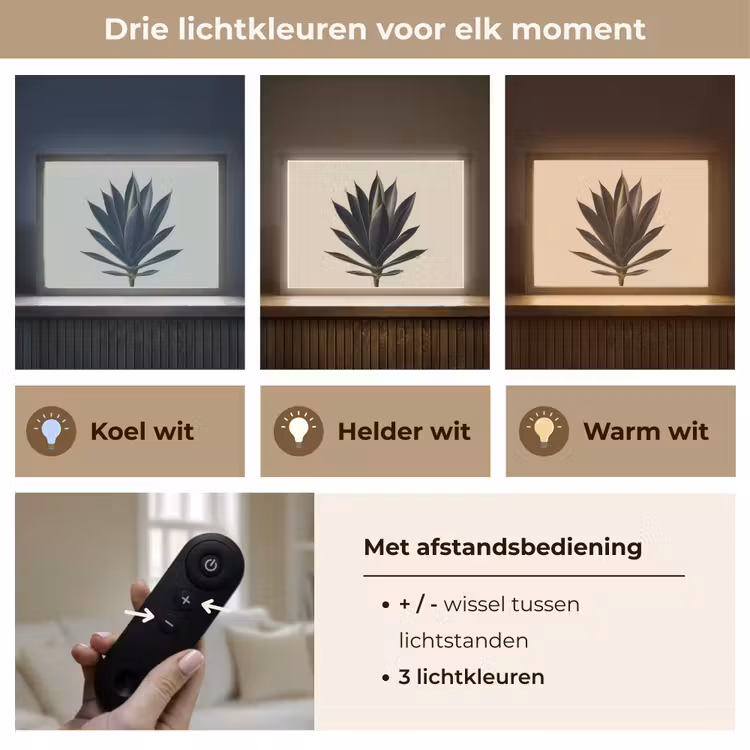 Lightbox - Wandlamp - Agaveplant - Symmetrisch - Groen — 8