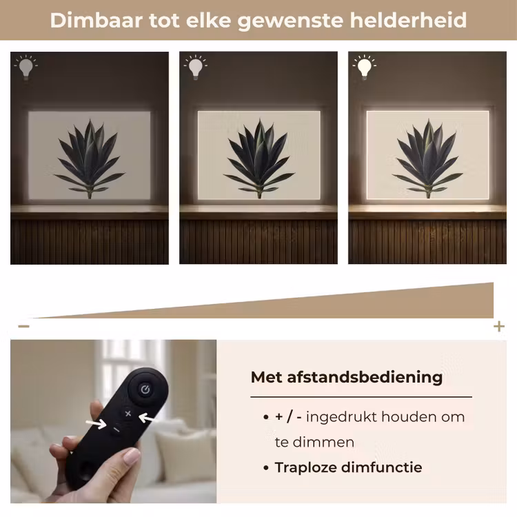 Lightbox - Wandlamp - Agaveplant - Symmetrisch - Groen — 9