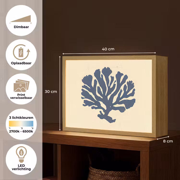 Lightbox - Wandlamp - Blauw koraal - Vertakkingen - Beige — 10