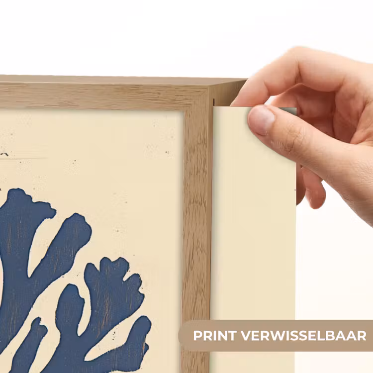 Lightbox - Wandlamp - Blauw koraal - Vertakkingen - Beige — 5