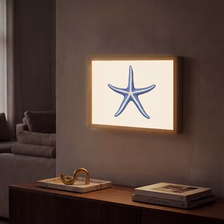 Lightbox - Wandlamp - Blauwe zeester - Minimalistisch - Beige — 2